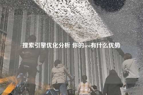 搜索引擎优化分析 你的seo有什么优势
