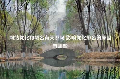 网站优化和域名有关系吗 影响优化排名的原因有哪些