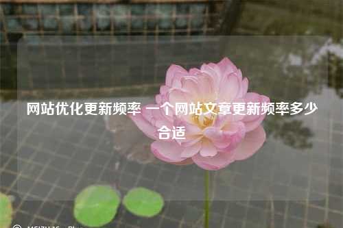 网站优化更新频率 一个网站文章更新频率多少合适