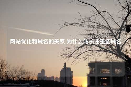 网站优化和域名的关系 为什么站长注重选域名