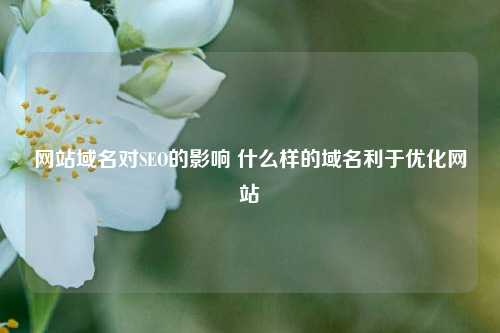 网站域名对SEO的影响 什么样的域名利于优化网站