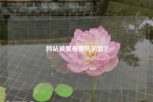 网站被黑有哪些风险？