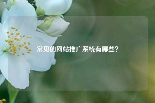 常见的网站推广系统有哪些？