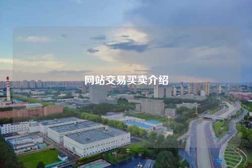 网站交易买卖介绍