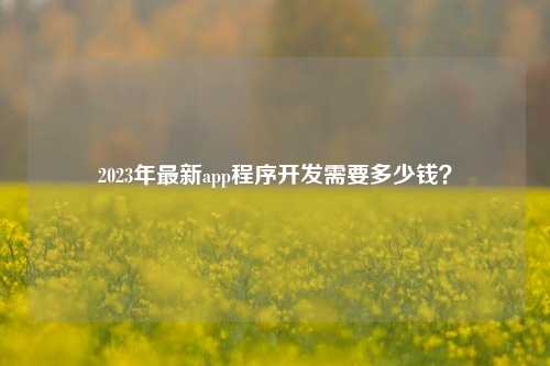 2023年最新app程序开发需要多少钱？