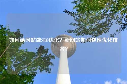 如何给网站做SEO优化？新网站如何快速优化排名？