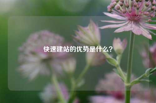 快速建站的优势是什么？